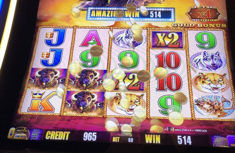 Buffalo gold slot online casino